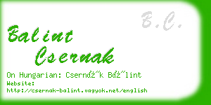 balint csernak business card